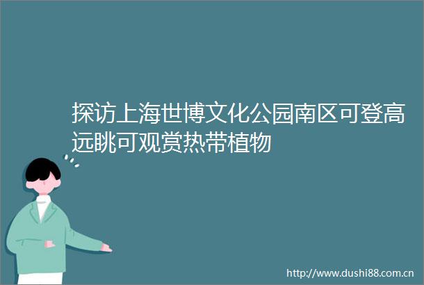 探访上海世博文化公园南区可登高远眺可观赏热带植物