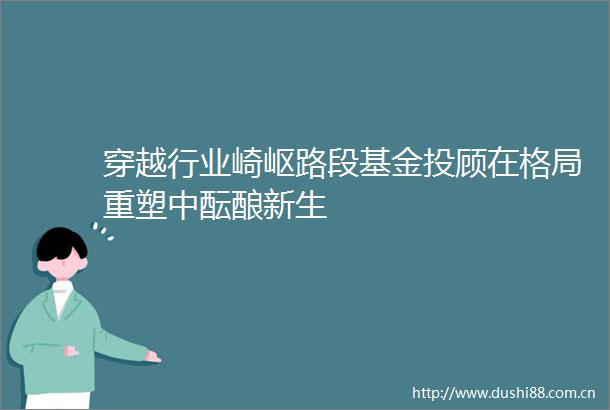 穿越行业崎岖路段基金投顾在格局重塑中酝酿新生