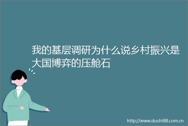 我的基层调研为什么说乡村振兴是大国博弈的压舱石