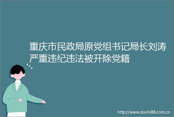 重庆市民原党组书记局长刘涛严重被开除党籍