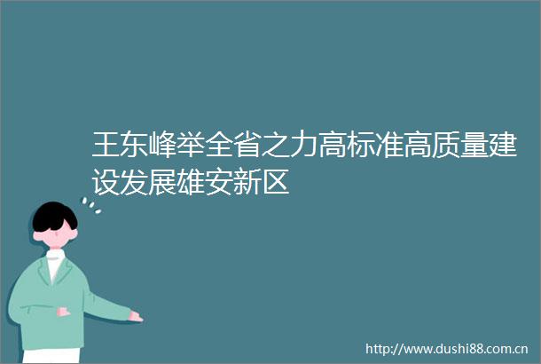 王东峰举全省之力高标准高质量建设发展雄安新区