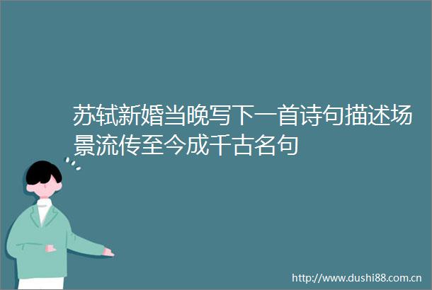 苏轼新婚当晚写下一首诗句描述场景流传至今成千古名句