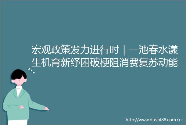 宏观政策发力进行时｜一池春水漾生机育新纾困破梗阻消费复苏动能足
