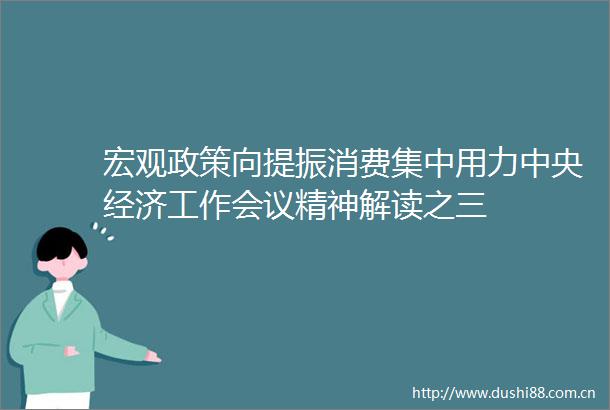 宏观政策向提振消费集中用力中央经济工作会议精神解读之三