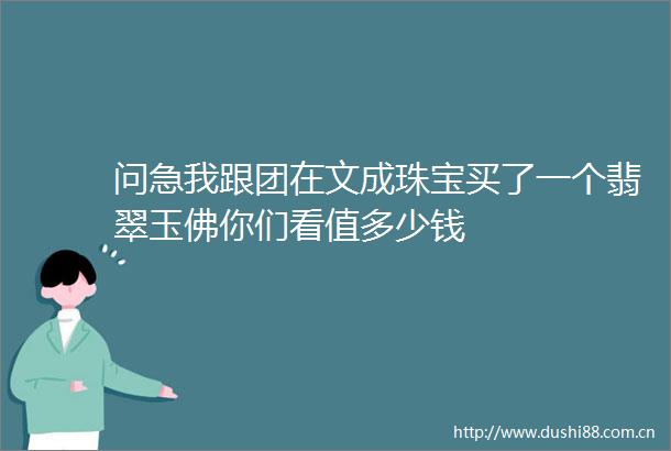问急我跟团在文成珠宝买了一个翡翠玉佛你们看值多少钱