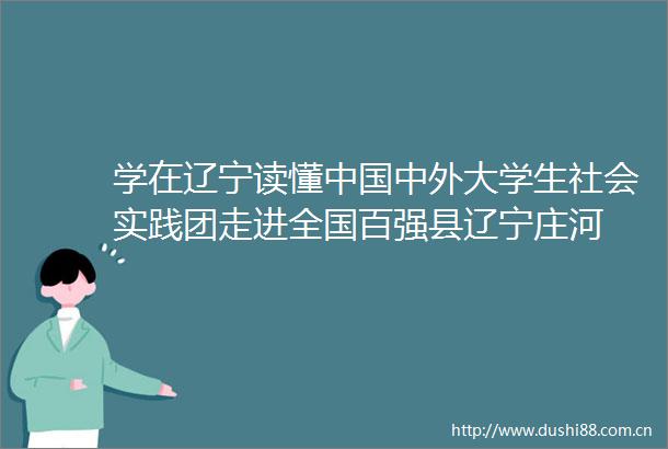 学在辽宁读懂中外大学生社会实践团走进全国百强县辽宁庄河