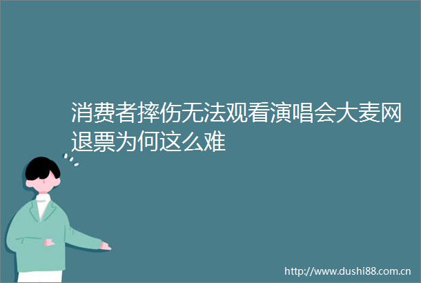 消费者摔伤无法观看演唱会大麦网退票为何这么难