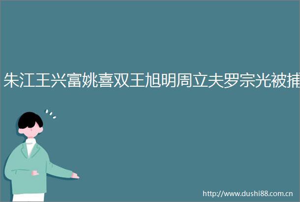 朱江王兴富姚喜双王旭明周立夫罗宗光被捕