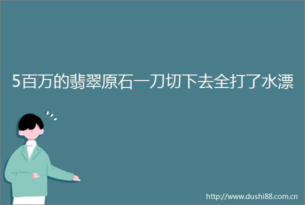 5百万的翡翠原石一刀切下去全打了水漂