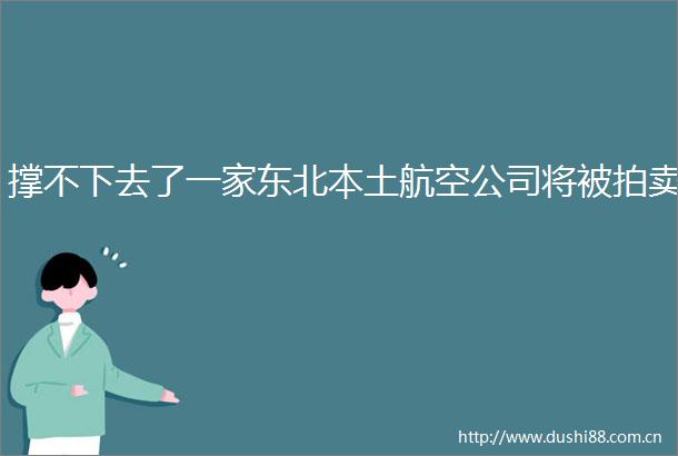 撑不下去了一家东北本土航空公司将被拍卖