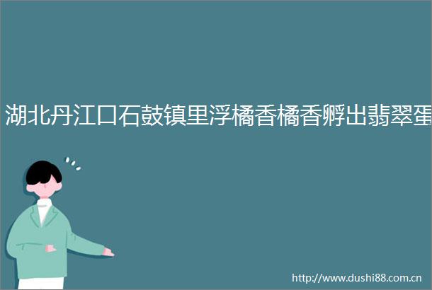 湖北丹江口石鼓镇里浮橘香橘香孵出翡翠蛋