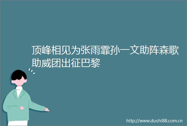 顶峰相见为张雨霏孙一文助阵森歌助威团出征巴黎