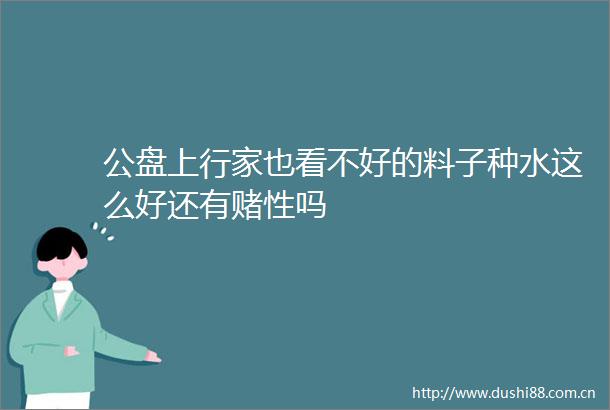 公盘上行家也看不好的料子种水这么好还有赌性吗