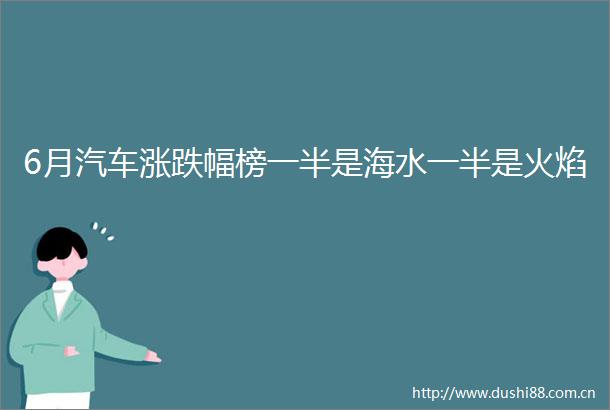 6月汽车涨跌幅榜一半是海水一半是火焰