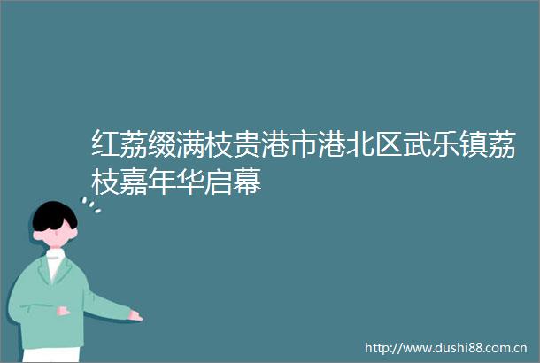红荔缀满枝贵港市港北区武乐镇荔枝嘉年华启幕