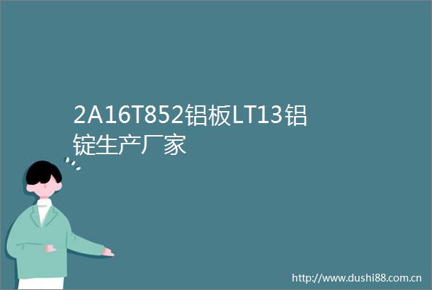 2A16T852铝板LT13铝锭生产厂家