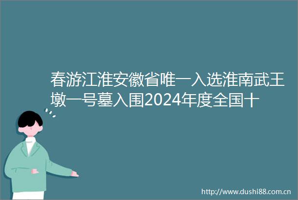 春游江淮安徽省唯一入选淮南武王墩一号墓入围2024年度全国十大考古新发现终评
