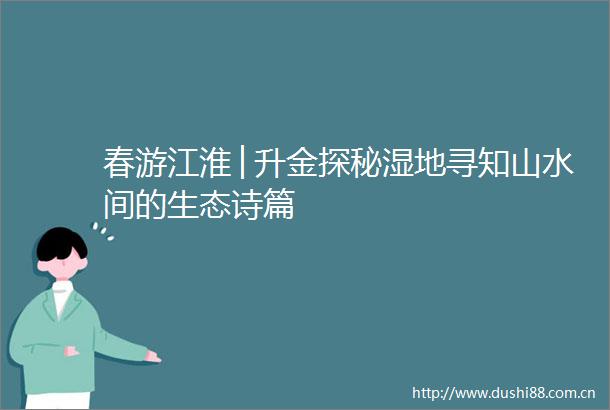 春游江淮│升金探秘湿地寻知山水间的生态诗篇