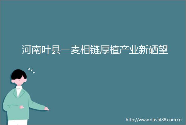 河南叶县一麦相链厚植产业新硒望