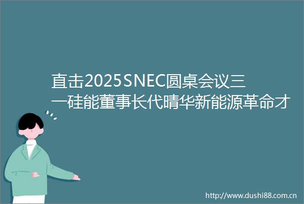直击2025SNEC圆桌会议三一硅能董事长代晴华新能源革命才刚刚来临风光依然无限