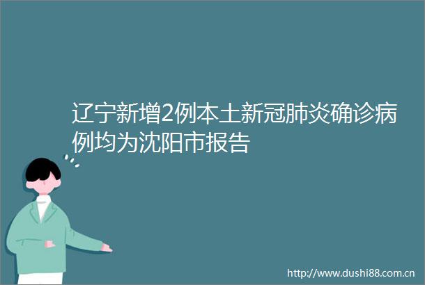 辽宁新增2例本土新冠肺炎确诊病例均为沈阳市报告
