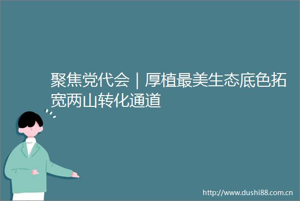 聚焦党代会｜厚植最美生态底色拓宽两山转化通道