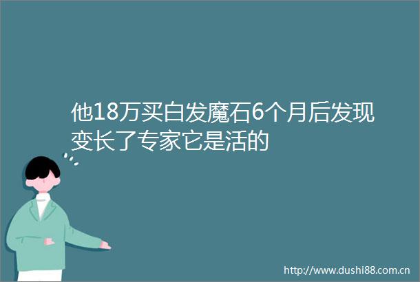 他18万买白发魔石6个月后发现变长了专家它是活的
