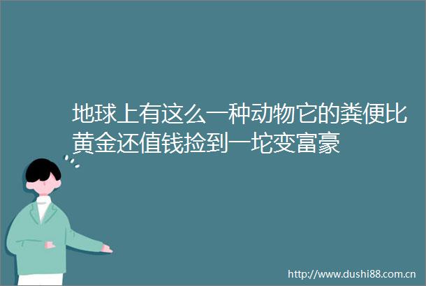 地球上有这么一种动物它的粪便比黄金还值钱捡到一坨变富豪