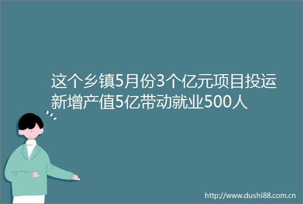 这个乡镇5月份3个亿元项目投运新增产值5亿带动就业500人