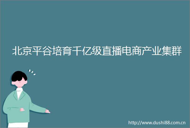 北京平谷培育千亿级直播电商产业集群