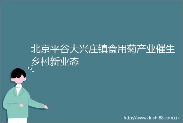 北京平谷大兴庄镇食用菊产业催生乡村新业态