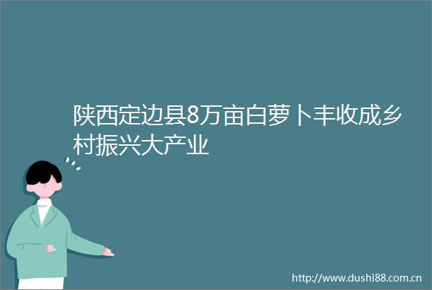 陕西定边县8万亩白萝卜丰收成乡村振兴大产业