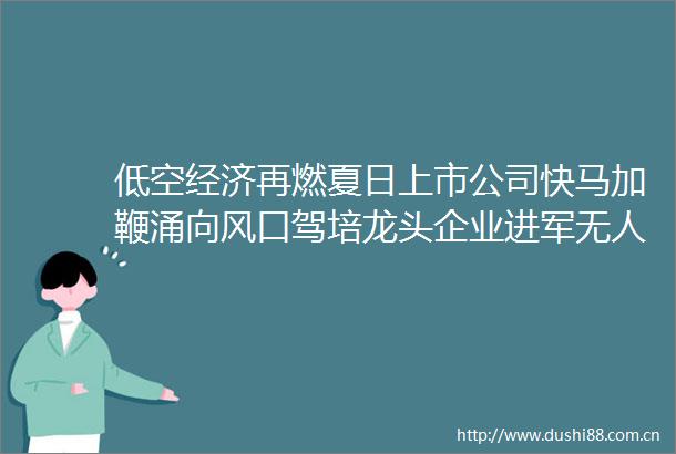 低空经济再燃夏日上市公司快马加鞭涌向风口驾培龙头企业进军无人机培训