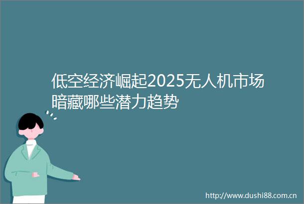 低空经济崛起2025无人机市场暗藏哪些潜力趋势