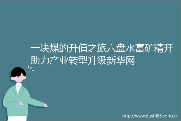 一块煤的升值之旅六盘水富矿精开助力产业转型升级新华网