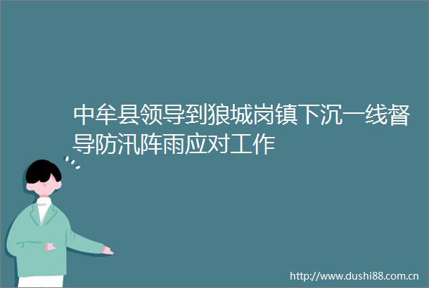 中牟县到狼城岗镇下沉一线督导防汛阵雨应对工作