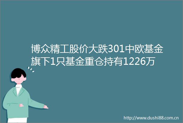 博众精工股价大跌301中欧基金旗下1只基金重仓持有1226万股浮亏损失1005万元