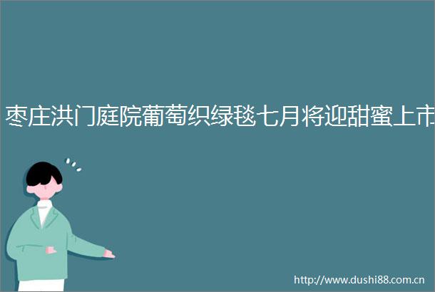 枣庄洪门庭院葡萄织绿毯七月将迎甜蜜上市