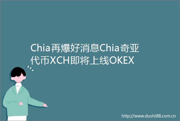 Chia再爆好消息Chia奇亚代币XCH即将上线OKEX