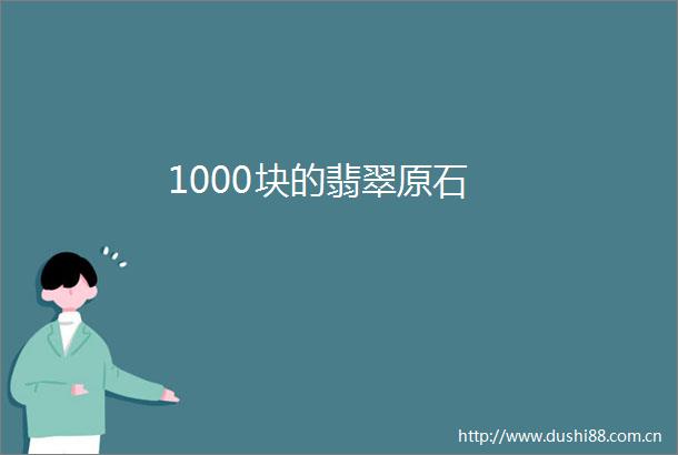1000块的翡翠原石