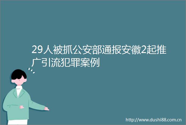 29人被抓部通报安徽2起推广引流案例