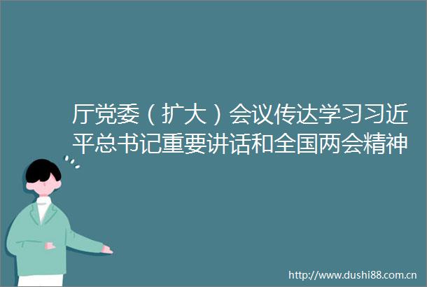 厅党委（扩大）会议传达学习总书记重要讲话和全国两会精神