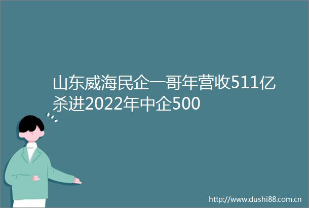 山东威海民企一哥年营收511亿杀进2022年中企500