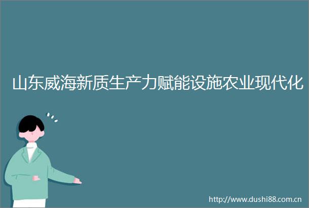 山东威海新质生产力赋能设施农业现代化
