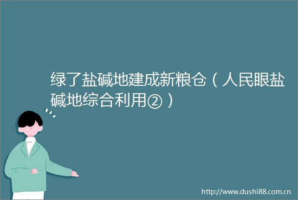 绿了盐碱地建成新粮仓（眼盐碱地综合利用②）