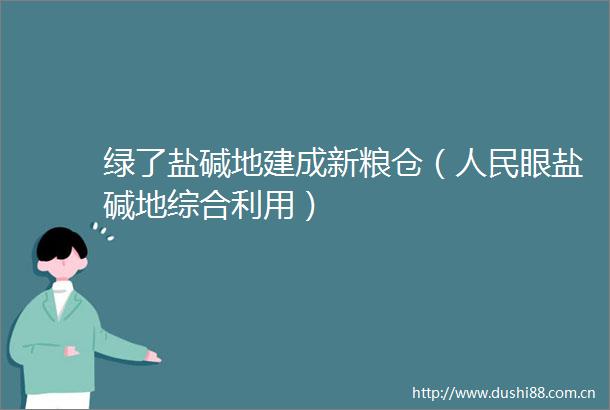 绿了盐碱地建成新粮仓（眼盐碱地综合利用）