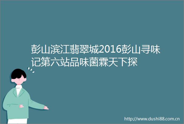 彭山滨江翡翠城2016彭山寻味记第六站品味菌霖天下探