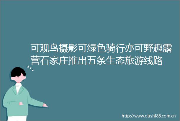 可观鸟摄影可绿色骑行亦可野趣露营石家庄推出五条生态旅游线路