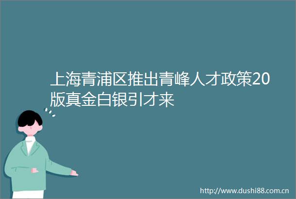 上海青浦区推出青峰人才政策20版真金白银引才来