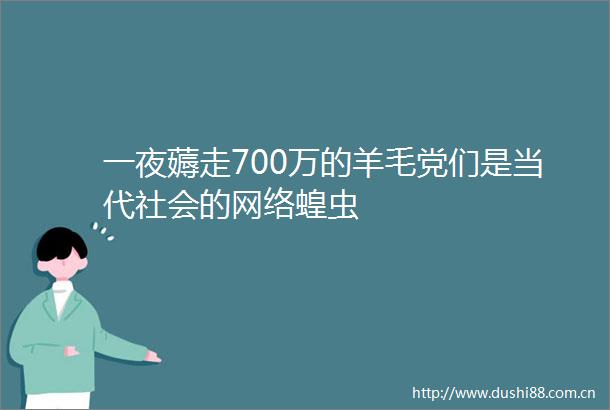 一夜薅走700万的羊毛党们是当代社会的网络蝗虫